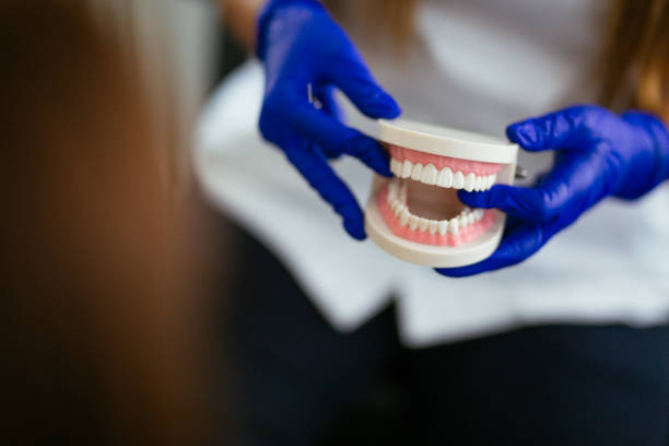 Best Dental Exams and Cleanings  in Ocean Acres, NJ
